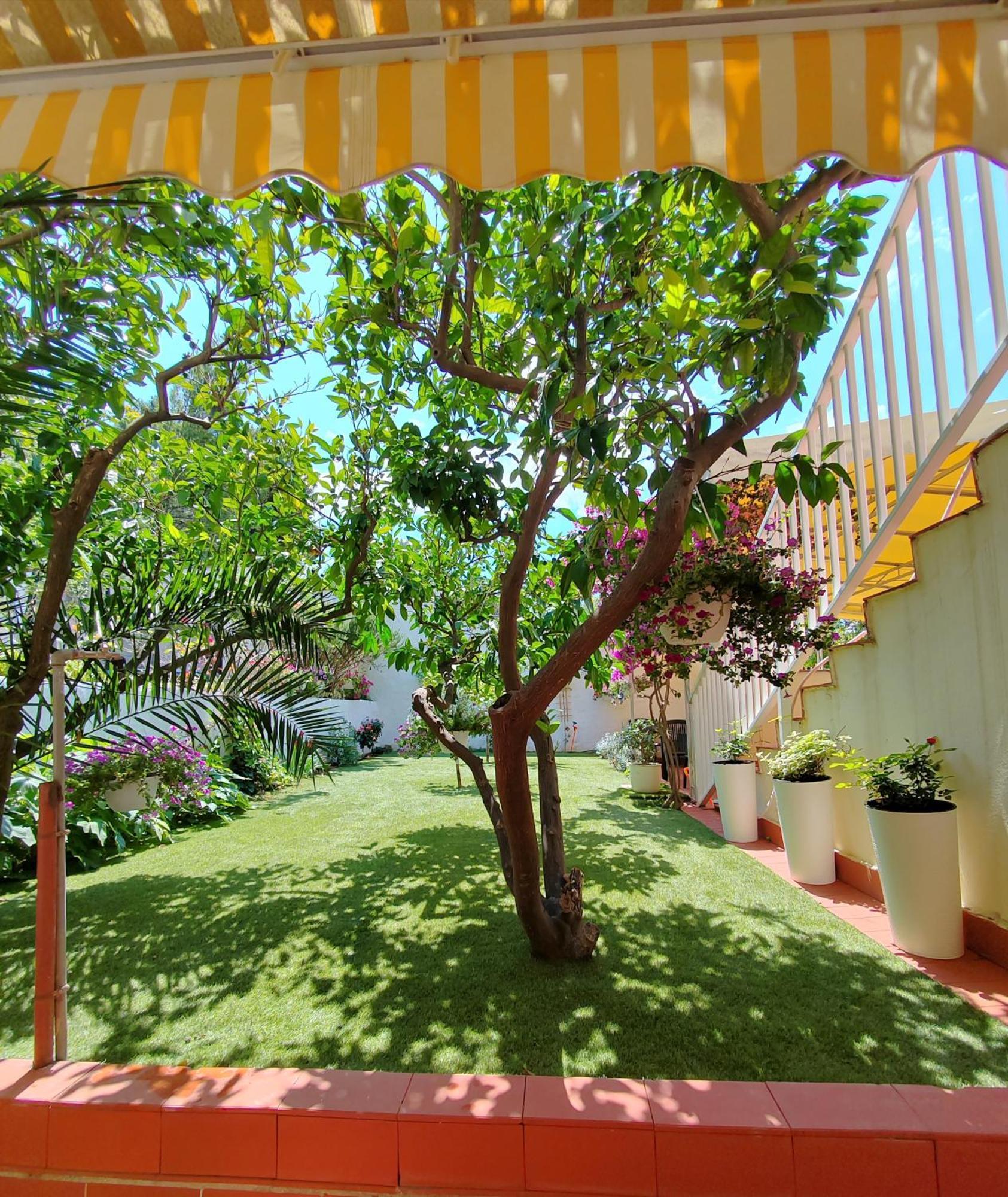 Apartments Gareta Gradac  Luaran gambar